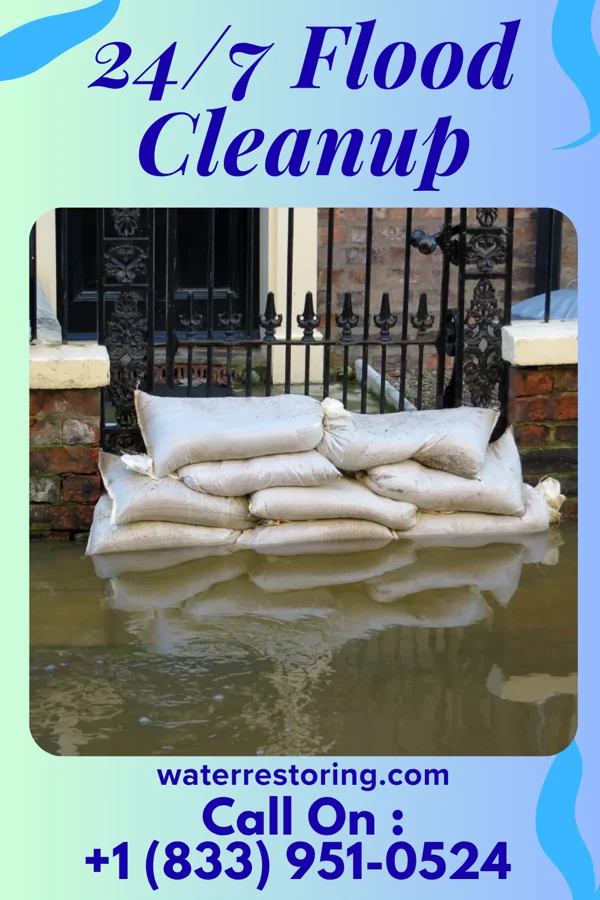 24/7 Flood Cleanup in Ludowici, GA