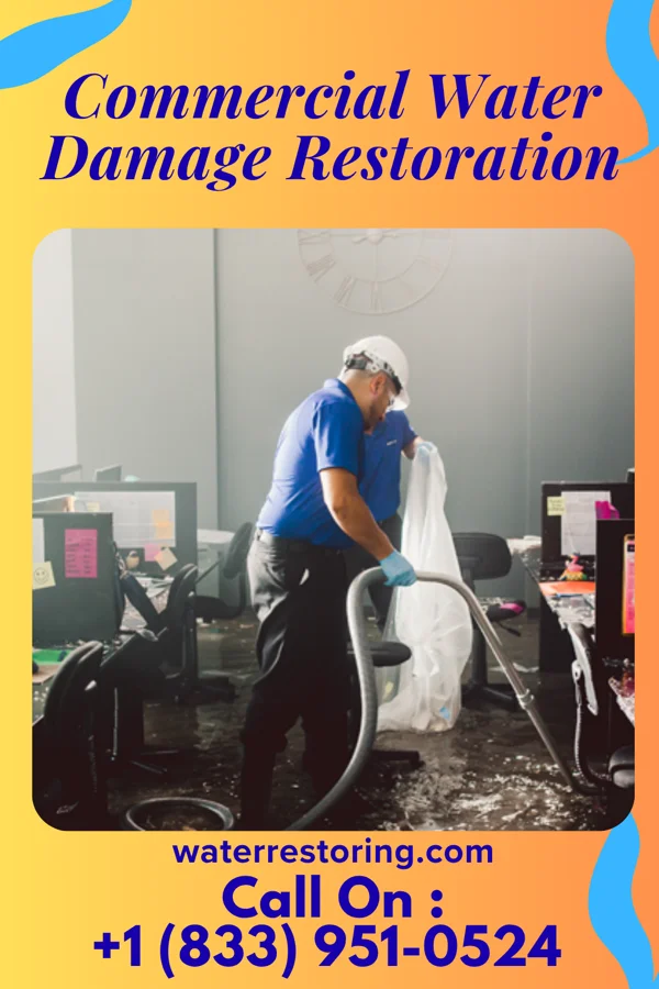 Commercial Water Damage Restoration in Ludowici, GA