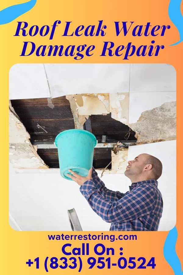Roof Leak Water Damage Repair in Ludowici, GA